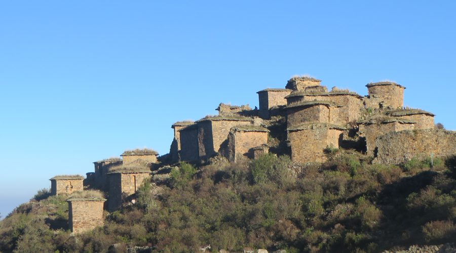 rupac-banner